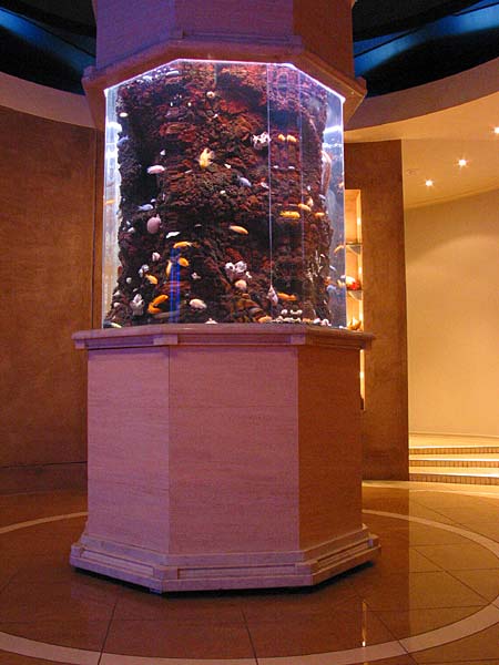 Центр зала подпирает огромный аквариум колонна.

