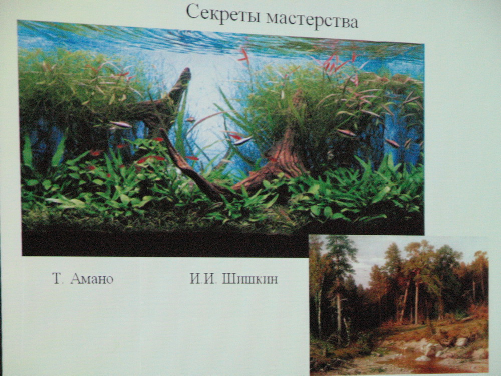 Сравнение композиции аквариума с композицией картин
