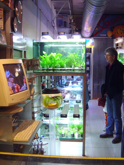 Барселона: кусочек зала с растениями
