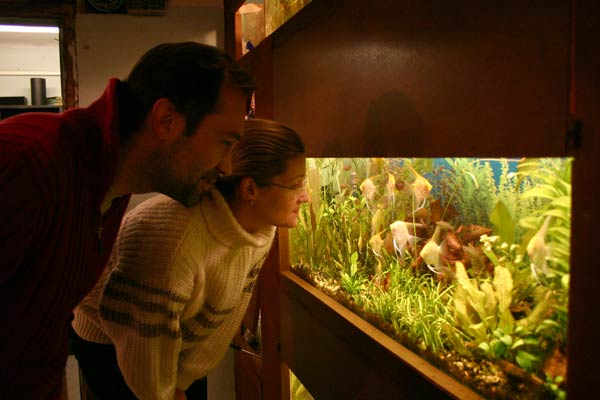 Посетители зачарованы красотами подводного мира.
