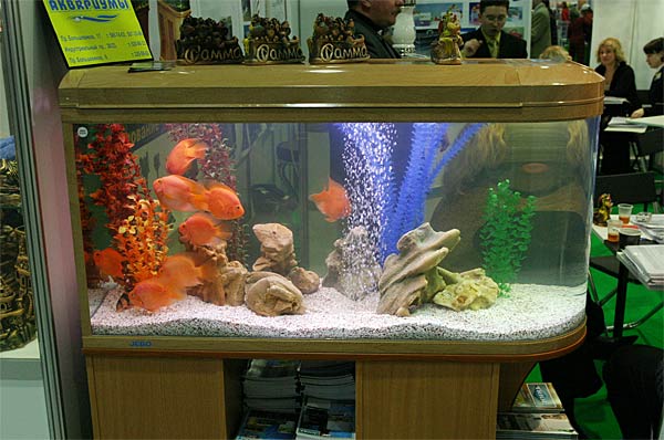 Берем аквариум Jebo, насыпаем туда грунт Zolux Hawayi, сажаем красных попугаев - и шедевр дизайнерского искусства готов ;)
